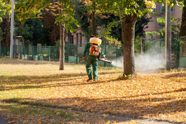 Wasp Removal Services in Central City, NE