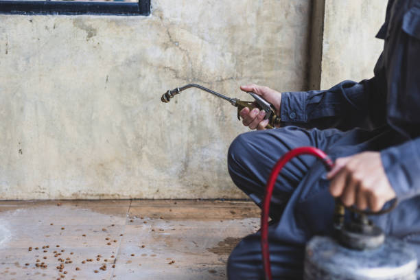 Best Emergency Pest Control  in Central City, NE